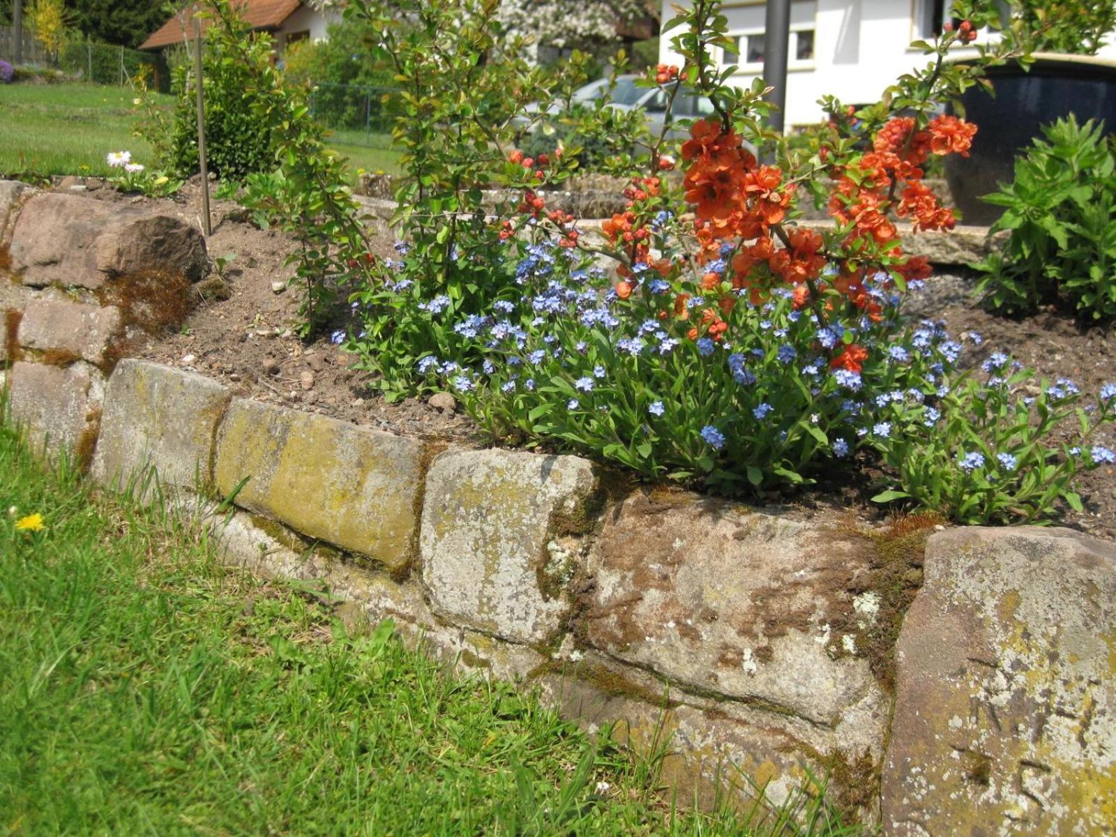 Apartamento Haus Mühlgrund Bad Wildbad Exterior foto