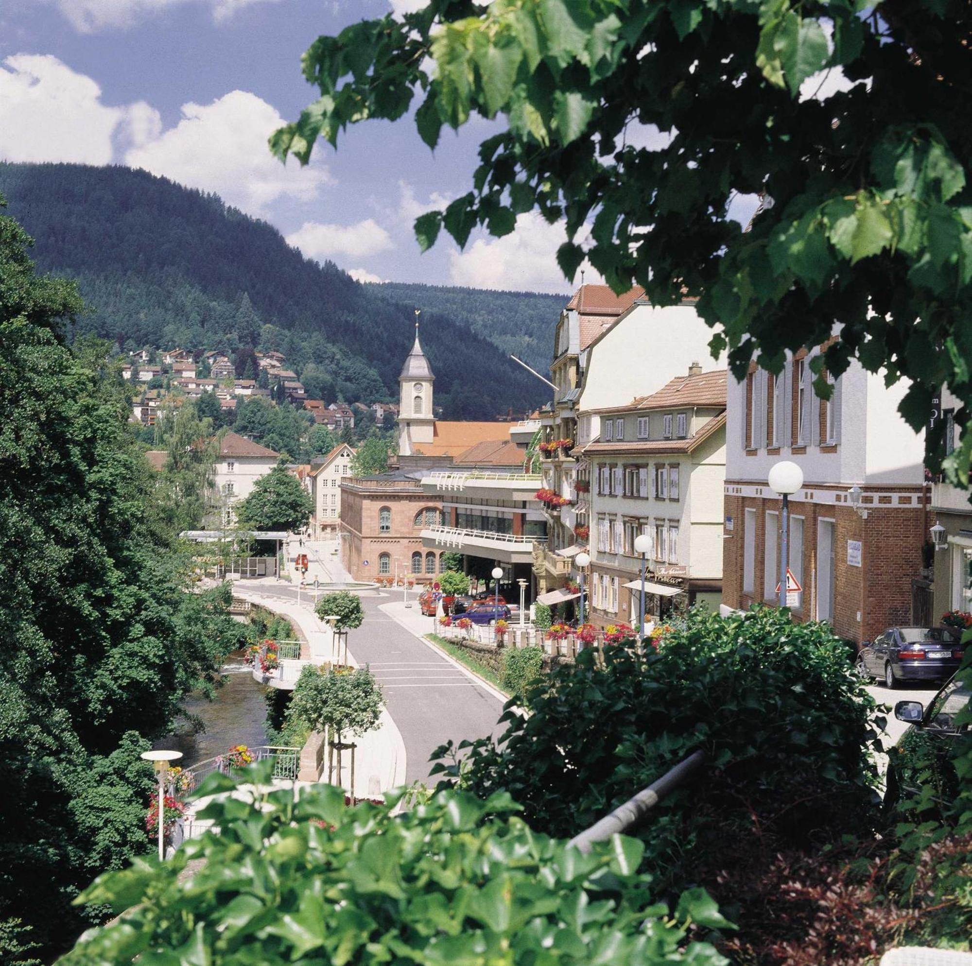 Apartamento Haus Mühlgrund Bad Wildbad Exterior foto